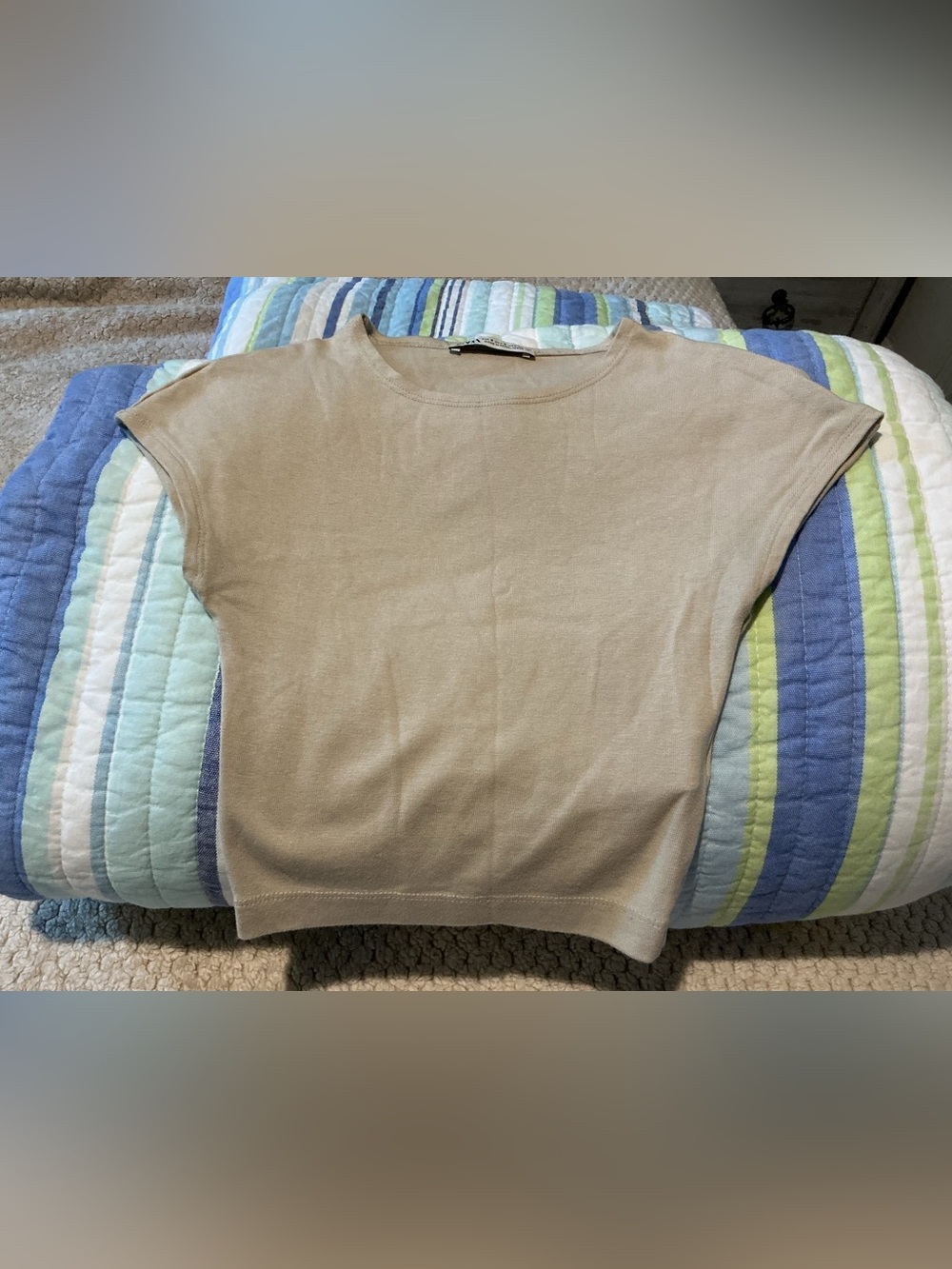 Zara Beige Crew Neck Short Sleeve Sweater